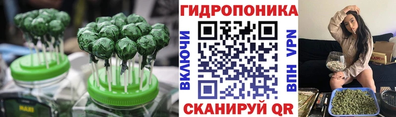 блэк спрут Сусуман Canna-Cookies конопля