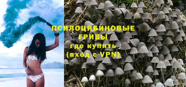 ECSTASY Ладушкин