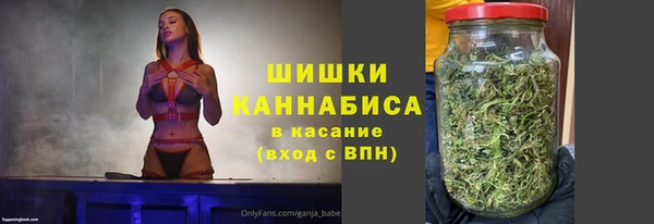 ECSTASY Ладушкин