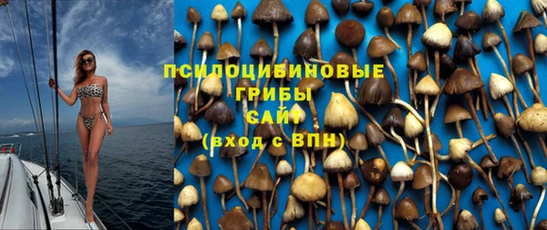 ECSTASY Ладушкин