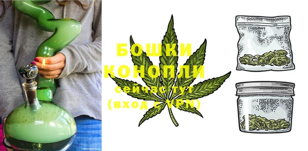 ECSTASY Ладушкин