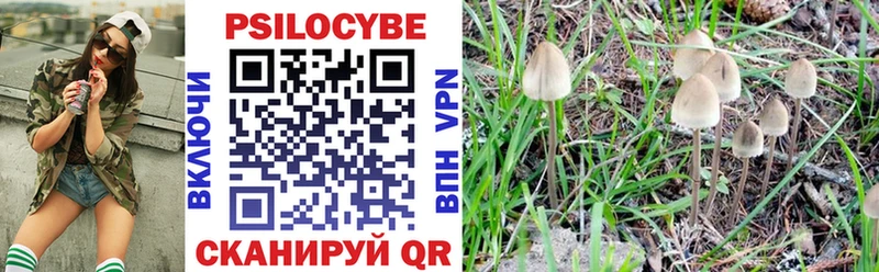 нарко площадка какой сайт  как найти закладки  Сусуман  Псилоцибиновые грибы Magic Shrooms 